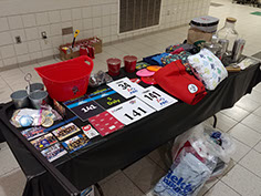 Auction Items