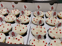 Cup cakes