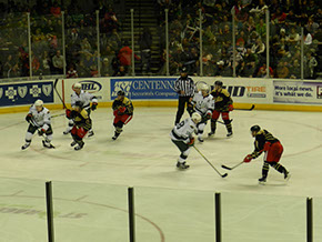 Griffins
